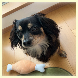 �}�X�R�b�g��