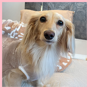 �}�X�R�b�g��